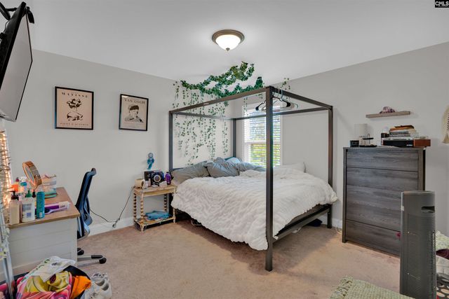 432 Thayer Street, Chapin, SC 29036