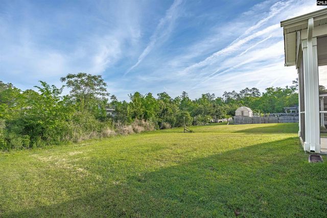 432 Thayer Street, Chapin, SC 29036