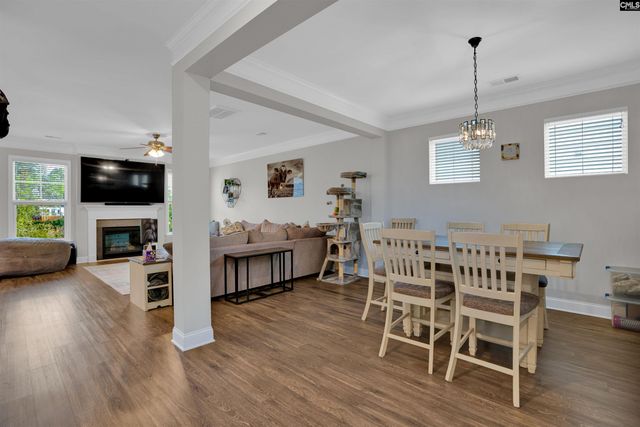 432 Thayer Street, Chapin, SC 29036