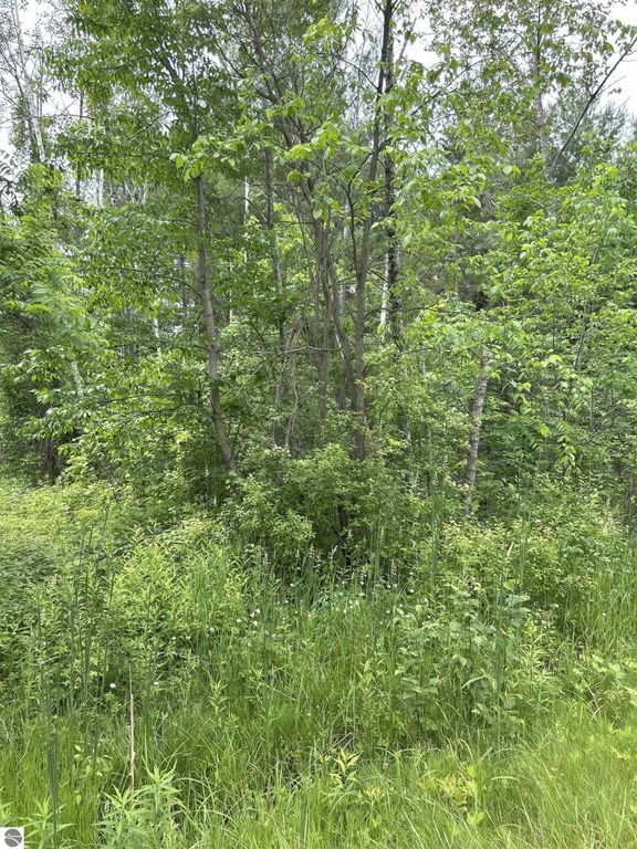 Image 2 of property listing at V/L Radov Road, Gladwin, MI 48624