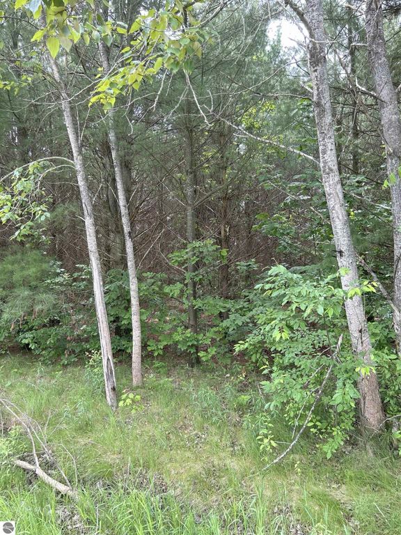 Image 3 of property listing at V/L Radov Road, Gladwin, MI 48624