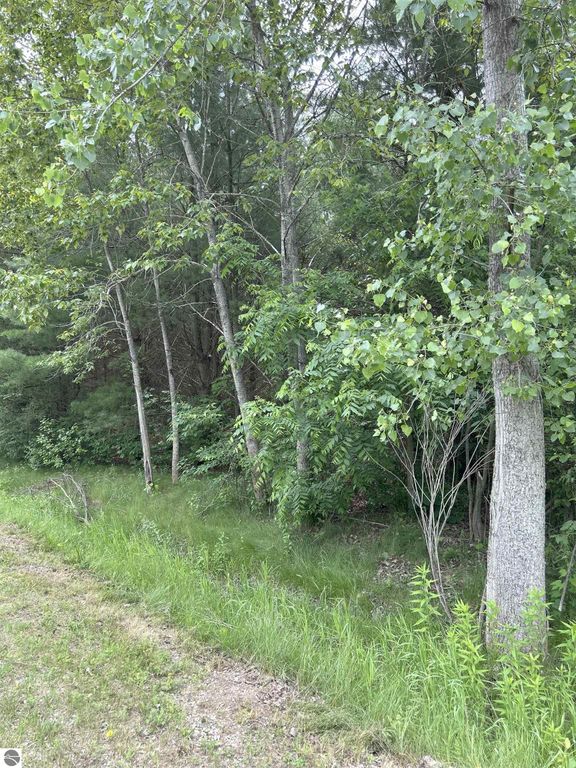 Image 4 of property listing at V/L Radov Road, Gladwin, MI 48624