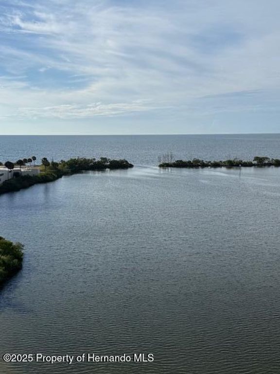 6035 SEA RANCH Drive 800, Hudson, FL 34667