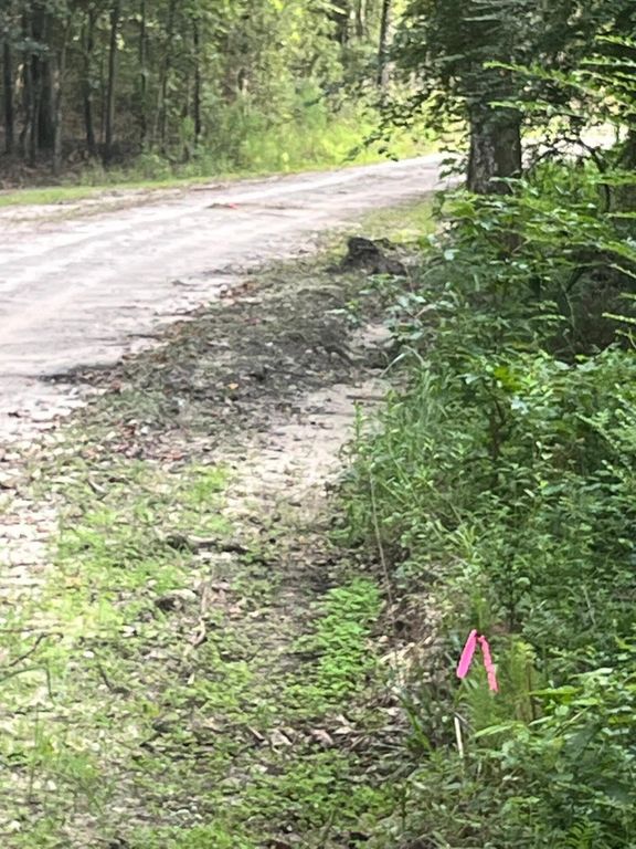 0 Snake Branch Drive, Round O, SC 29474