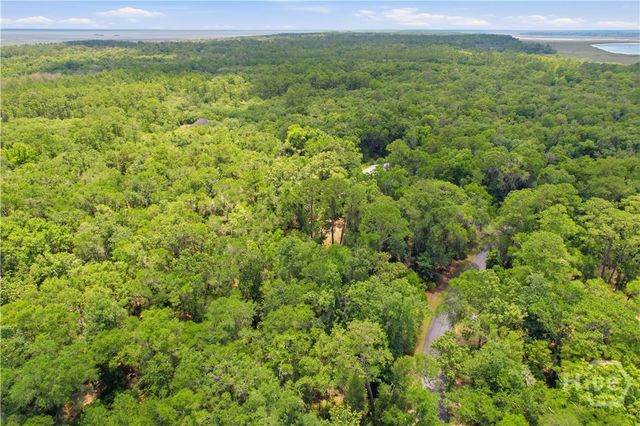 Lot 67 NE Delegal Drive, Townsend, GA 31331