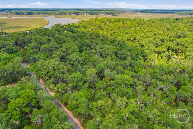 Lot 67 NE Delegal Drive, Townsend, GA 31331