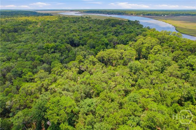 Lot 67 NE Delegal Drive, Townsend, GA 31331