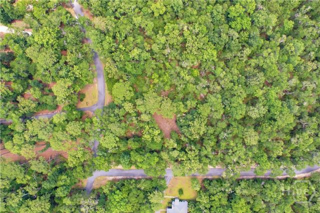 Lot 67 NE Delegal Drive, Townsend, GA 31331