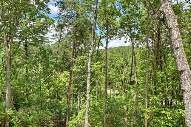 58 Whitetail Holw, Morganton, GA 30560