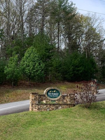 58 Whitetail Holw, Morganton, GA 30560