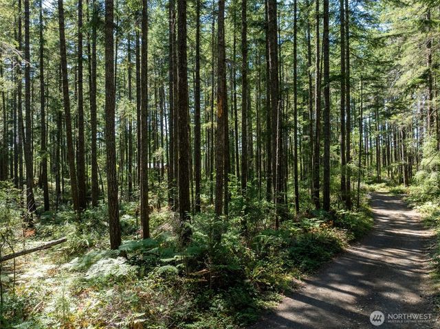 2531 W Hanks Lake Road, Shelton, WA 98584