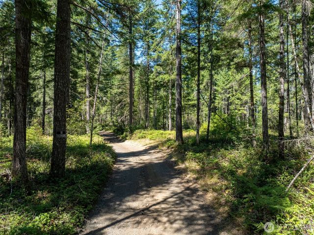 2531 W Hanks Lake Road, Shelton, WA 98584