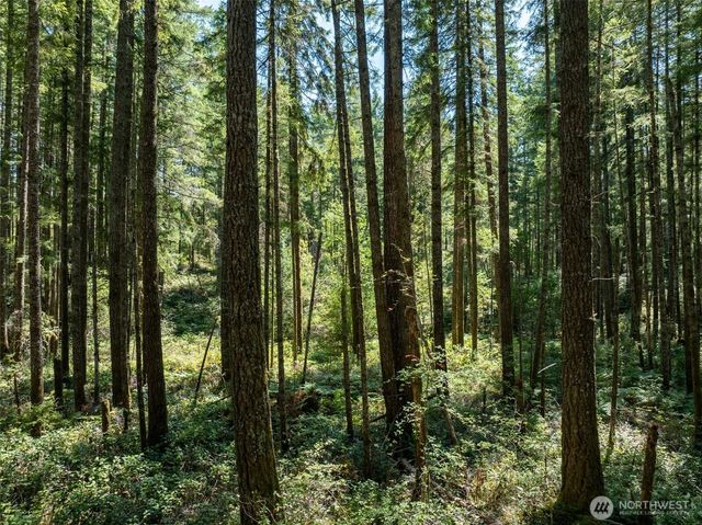 2531 W Hanks Lake Road, Shelton, WA 98584