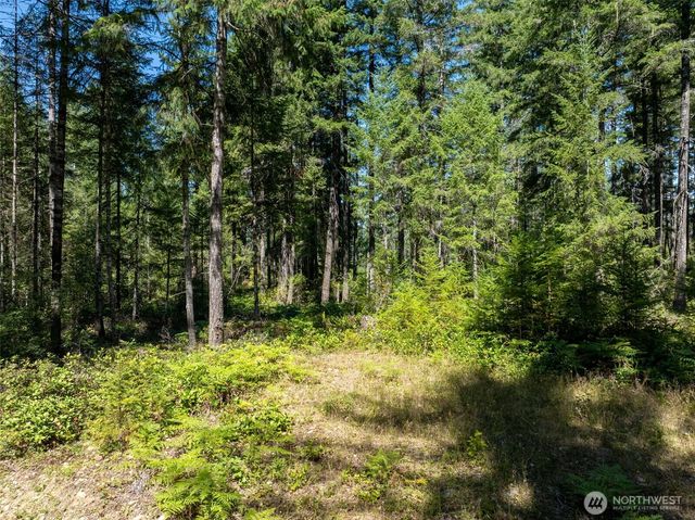 2531 W Hanks Lake Road, Shelton, WA 98584