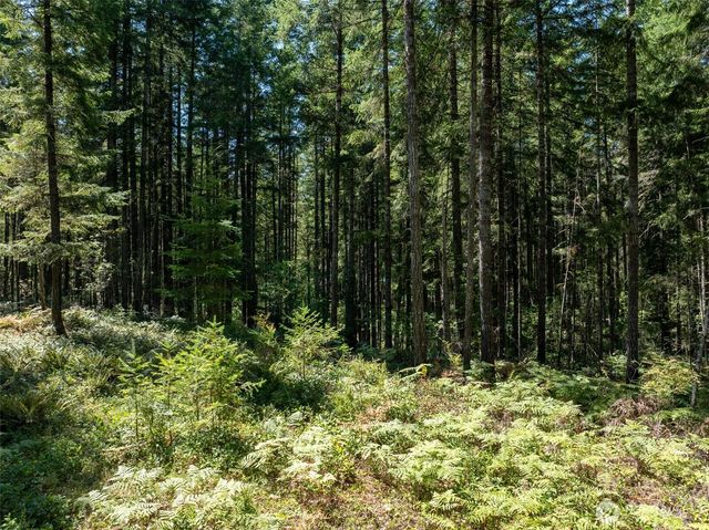 2531 W Hanks Lake Road, Shelton, WA 98584