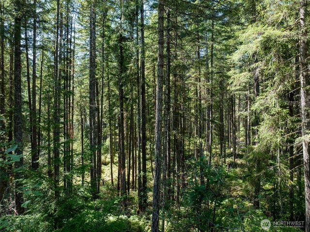2531 W Hanks Lake Road, Shelton, WA 98584