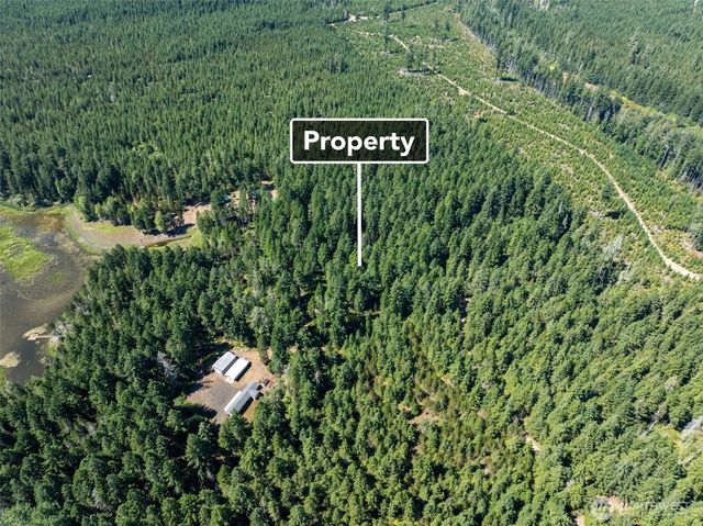 2531 W Hanks Lake Road, Shelton, WA 98584