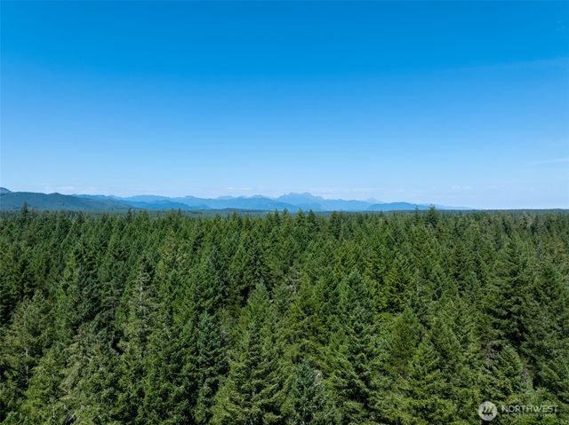 2531 W Hanks Lake Road, Shelton, WA 98584