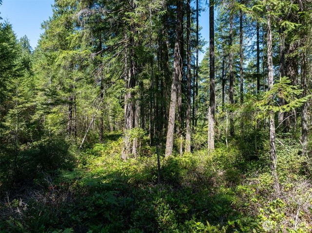 2531 W Hanks Lake Road, Shelton, WA 98584