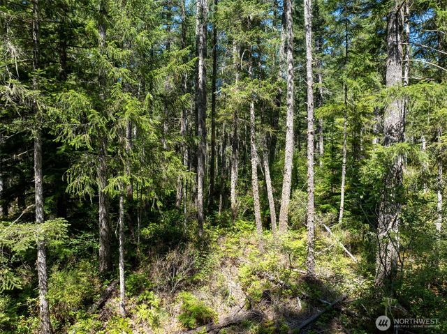 2531 W Hanks Lake Road, Shelton, WA 98584