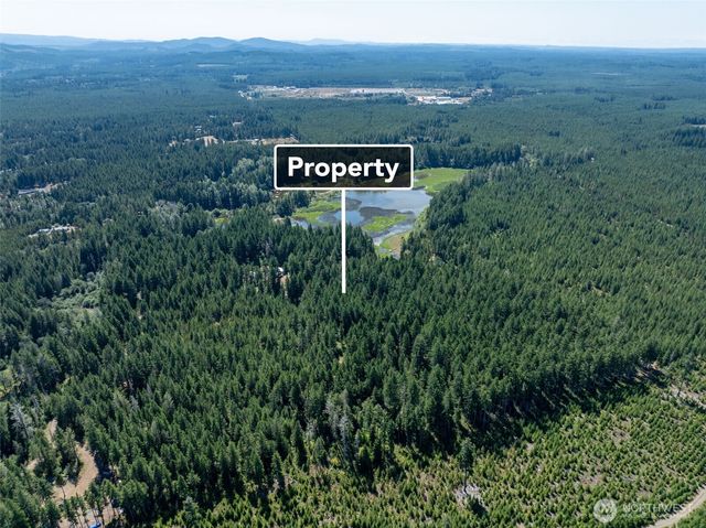 2531 W Hanks Lake Road, Shelton, WA 98584