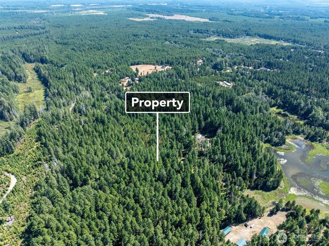 2531 W Hanks Lake Road, Shelton, WA 98584