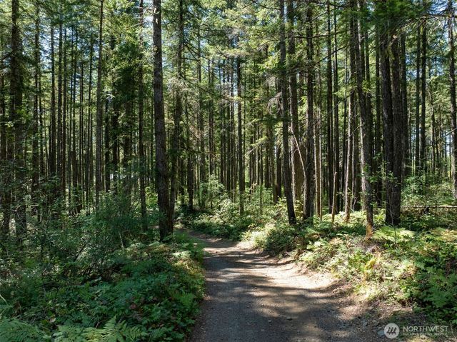 2531 W Hanks Lake Road, Shelton, WA 98584