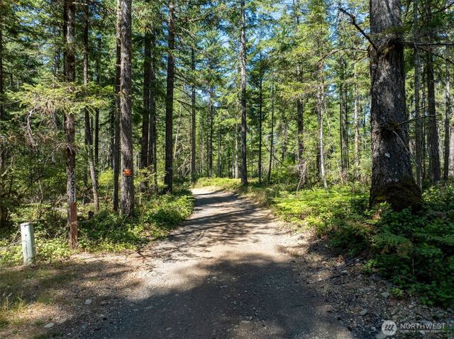 2531 W Hanks Lake Road, Shelton, WA 98584