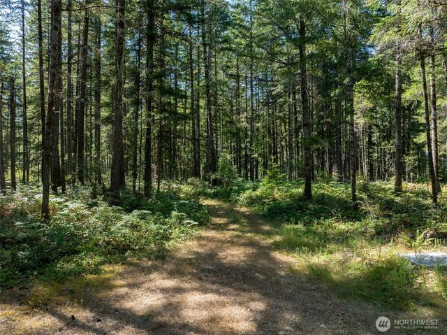 2531 W Hanks Lake Road, Shelton, WA 98584
