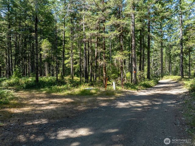 2531 W Hanks Lake Road, Shelton, WA 98584