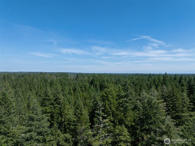 2531 W Hanks Lake Road, Shelton, WA 98584