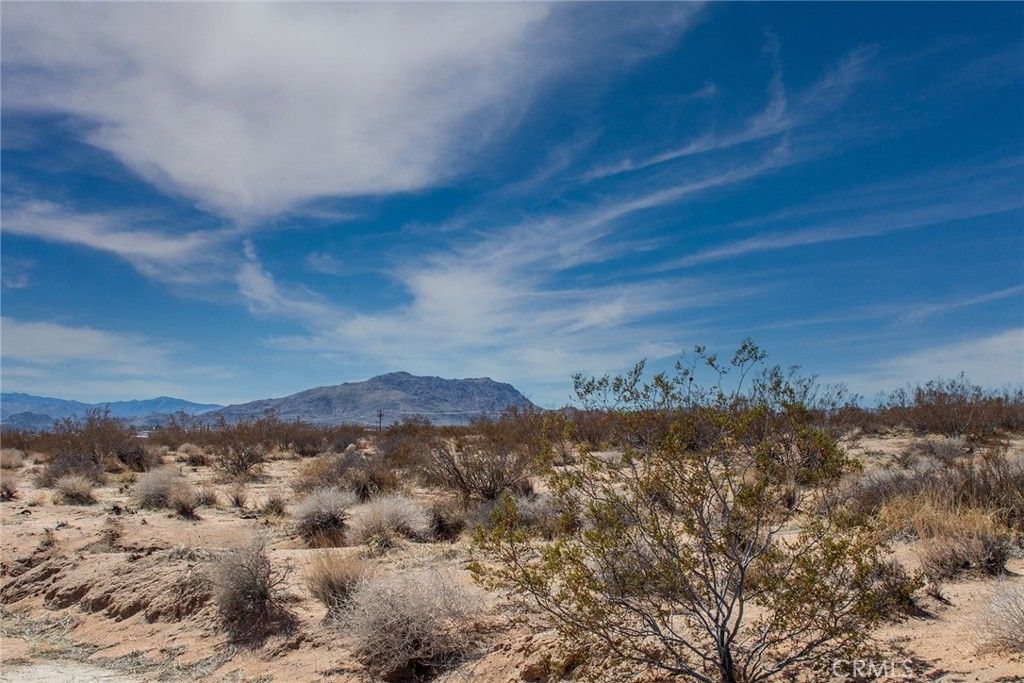 3374 Sunny Hill, Joshua Tree, CA 92252