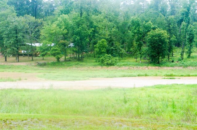 317 Hickory Drive E, Livingston, TX 77351