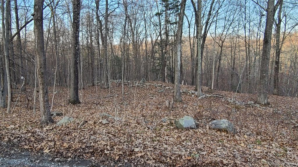 TBD Hawleys Corner Road, Highland, NY 12528