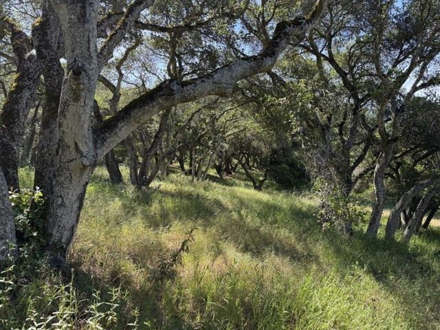6443 Tustin Road, Salinas, CA 93907