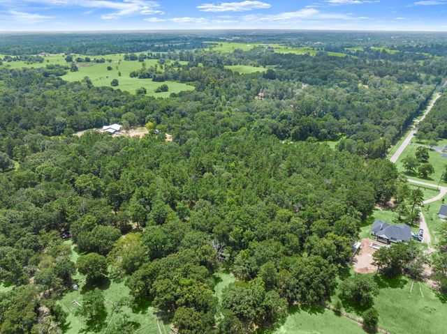 0 Wee Creek Lane, Montgomery, TX 77356