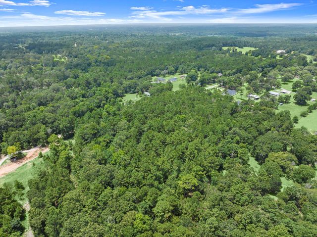 0 Wee Creek Lane, Montgomery, TX 77356