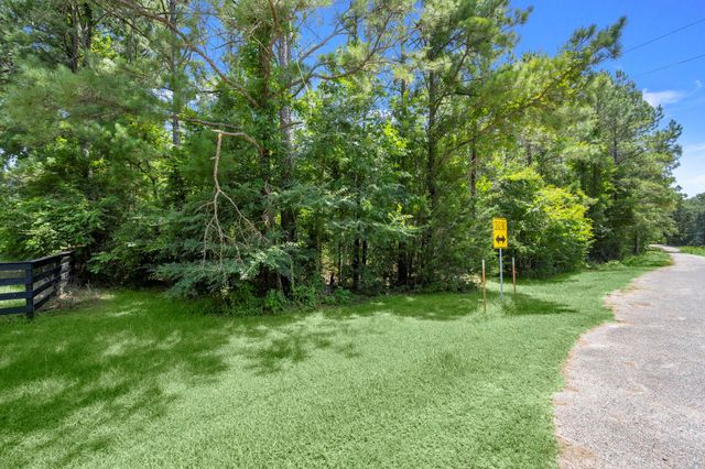 0 Wee Creek Lane, Montgomery, TX 77356