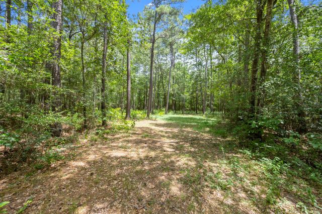 0 Wee Creek Lane, Montgomery, TX 77356