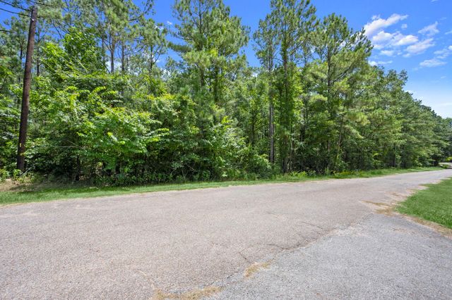 0 Wee Creek Lane, Montgomery, TX 77356
