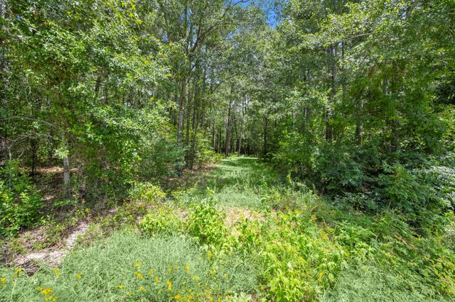 0 Wee Creek Lane, Montgomery, TX 77356