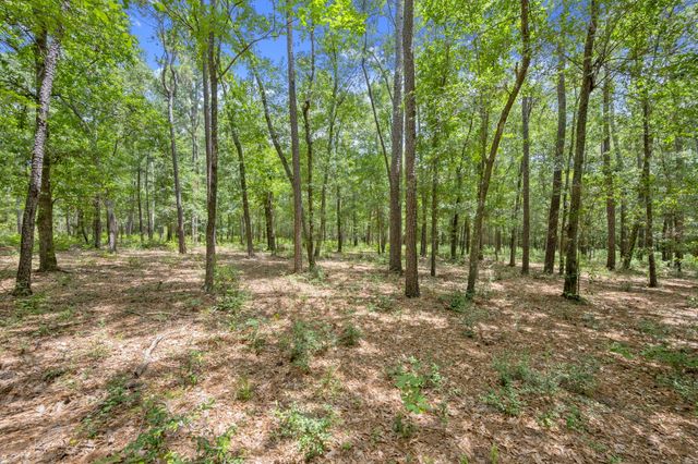 0 Wee Creek Lane, Montgomery, TX 77356
