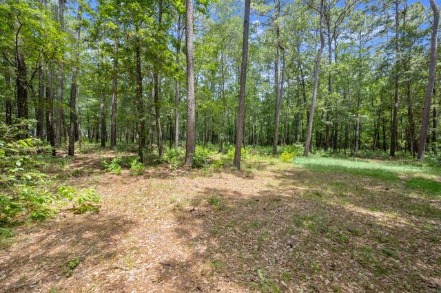 0 Wee Creek Lane, Montgomery, TX 77356