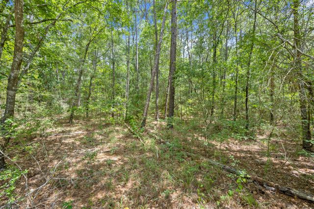 0 Wee Creek Lane, Montgomery, TX 77356