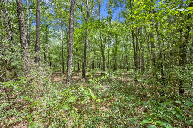0 Wee Creek Lane, Montgomery, TX 77356