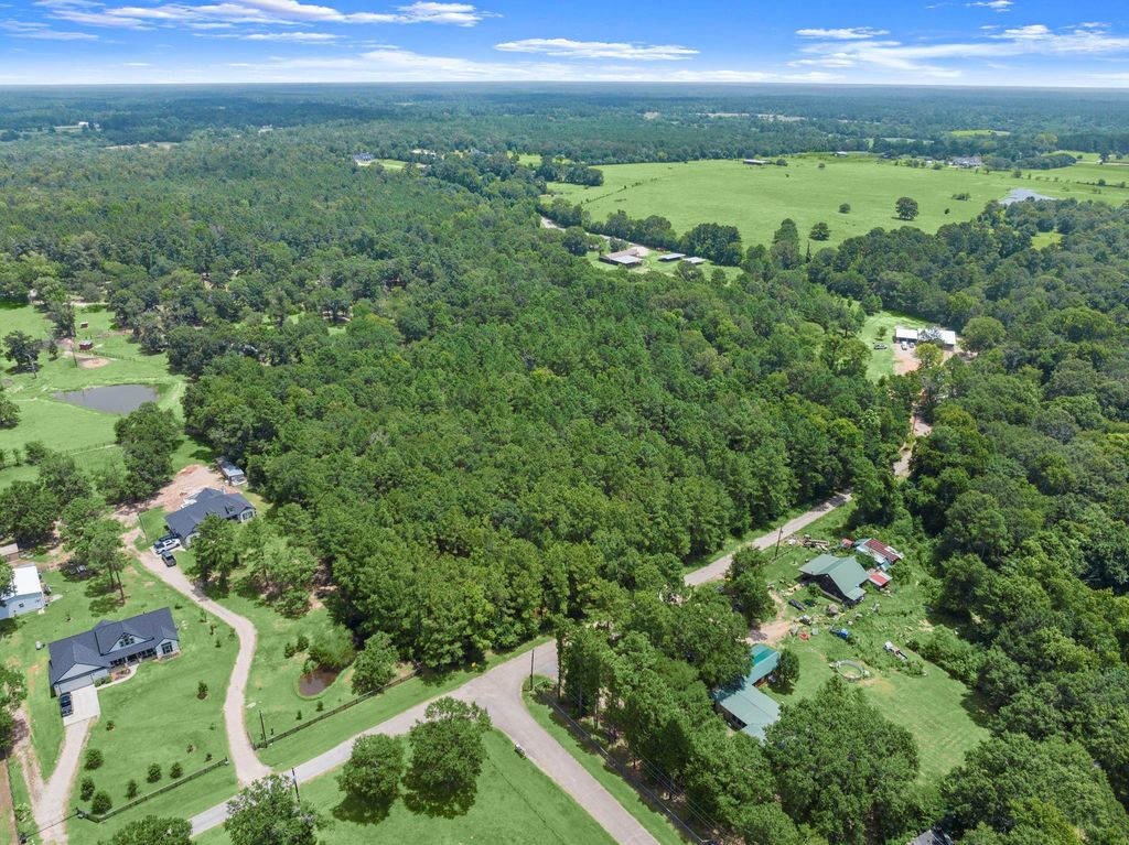 0 Wee Creek Lane, Montgomery, TX 77356