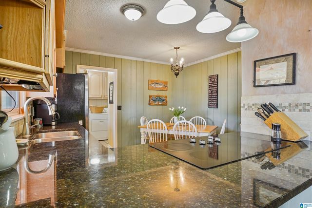 100 HORN DRIVE, Shelby, AL 35143