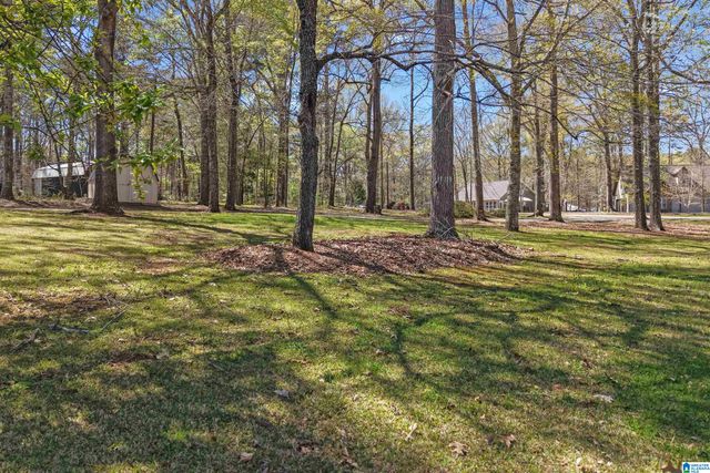 100 HORN DRIVE, Shelby, AL 35143