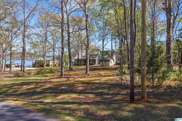 100 HORN DRIVE, Shelby, AL 35143