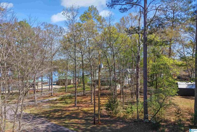 100 HORN DRIVE, Shelby, AL 35143